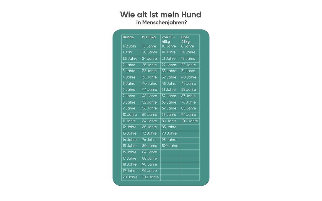 Wie Alt Ist Ein Hund In Menschenjahren www.tierheimat.de